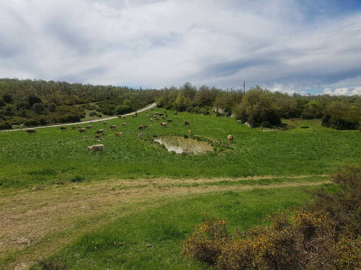 Santuari De La Salut De Sant Feliu De Pallerols Bagian luar foto