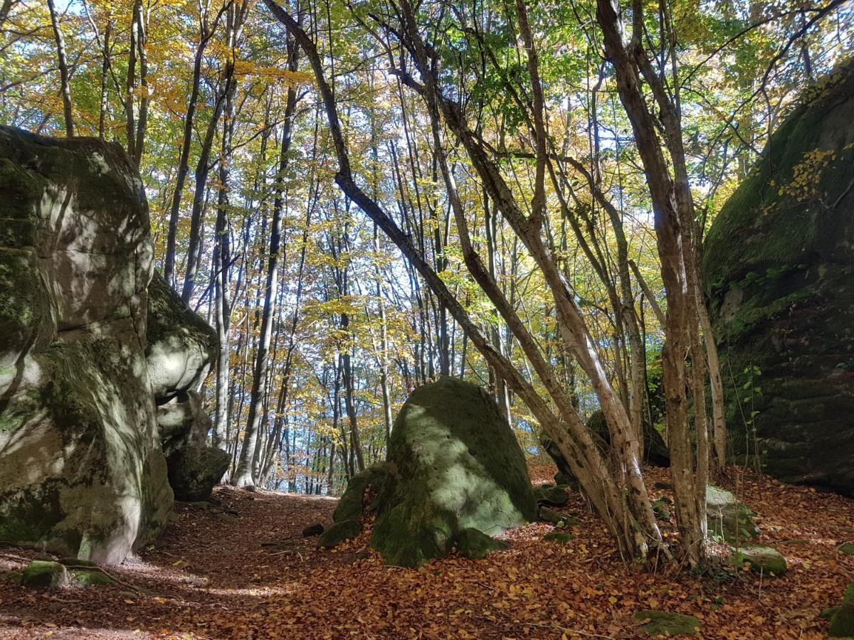 Santuari De La Salut De Sant Feliu De Pallerols Bagian luar foto