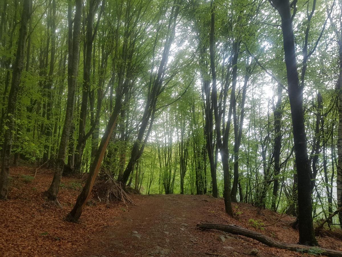 Santuari De La Salut De Sant Feliu De Pallerols Bagian luar foto